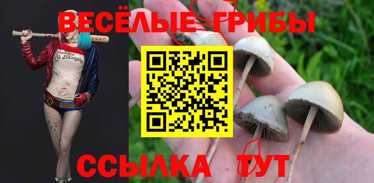 Галлюциногенные грибы Magic Shrooms Междуреченск